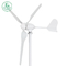 3 ostrza Generator turbin wiatrowych Poziome wiatraki generujące prąd elektryczny 12 V 24 V dla domu