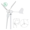 Generatory turbin wiatrowych 12V 24V 600W 3 ostrza Rozmiar niestandardowy